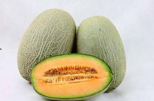 新疆网红吃瓜事件真相,真相与误解的交织 第3张 新疆网红吃瓜事件真相,真相与误解的交织 第3张