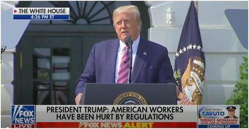 特朗普爆料福克斯视频在线观看